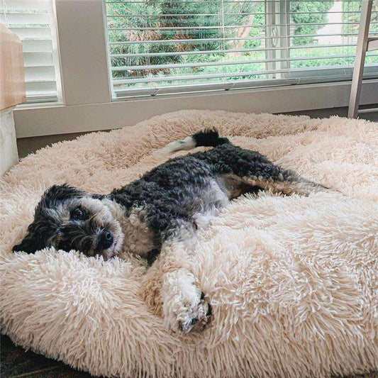 Fluffy Angstreducerende Donut Hundeseng til Alle Hunde