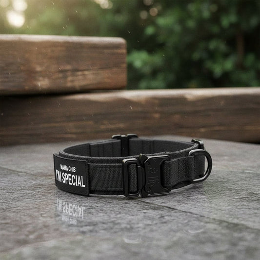 Justerbar Hundehalsbånd lavet af holdbart nylon, vandtæt, ergonomisk håndtag, til mellemstore og store hunde