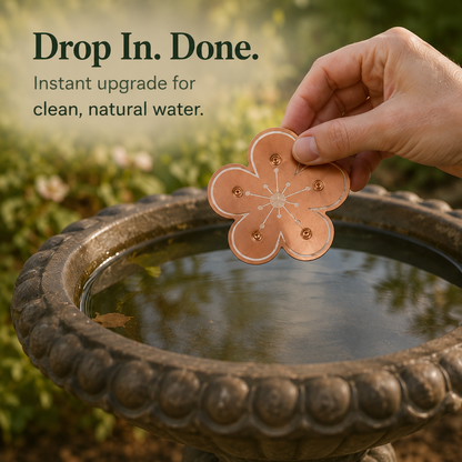 Bloomara – Ren Kobber Fuglebad Rensningsskive, Algekontrol Blomst