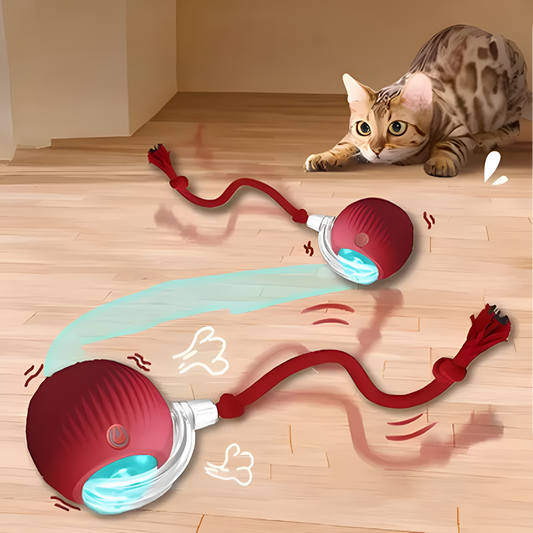 Catfri® CatBall: Automatisk Interaktiv Sjov for Katte at Jage