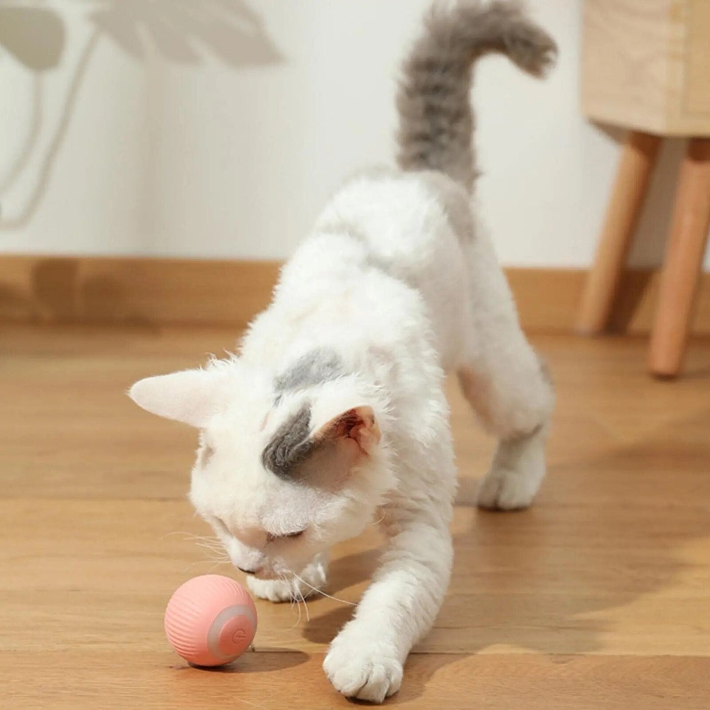DogCatFri™ Jagts legetøj - 2 i 1 Simuleret Interaktivt Jagts legetøj
