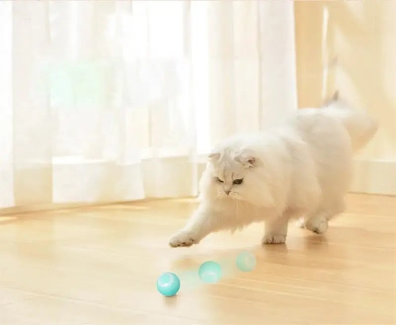 DogCatFri™ Jagts legetøj - 2 i 1 Simuleret Interaktivt Jagts legetøj