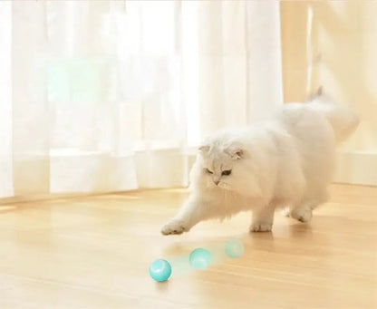DogCatFri™ Jagts legetøj - 2 i 1 Simuleret Interaktivt Jagts legetøj