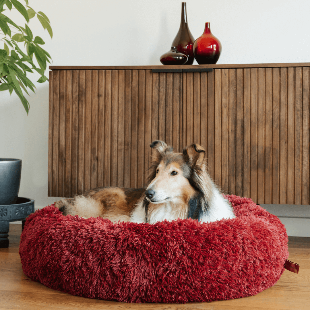 Fluffy Angstreducerende Donut Hundeseng til Alle Hunde