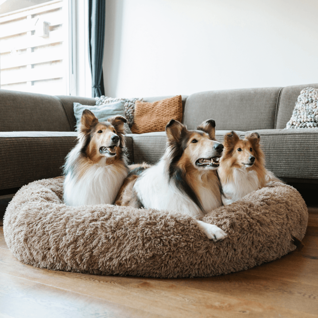 Fluffy Angstreducerende Donut Hundeseng til Alle Hunde