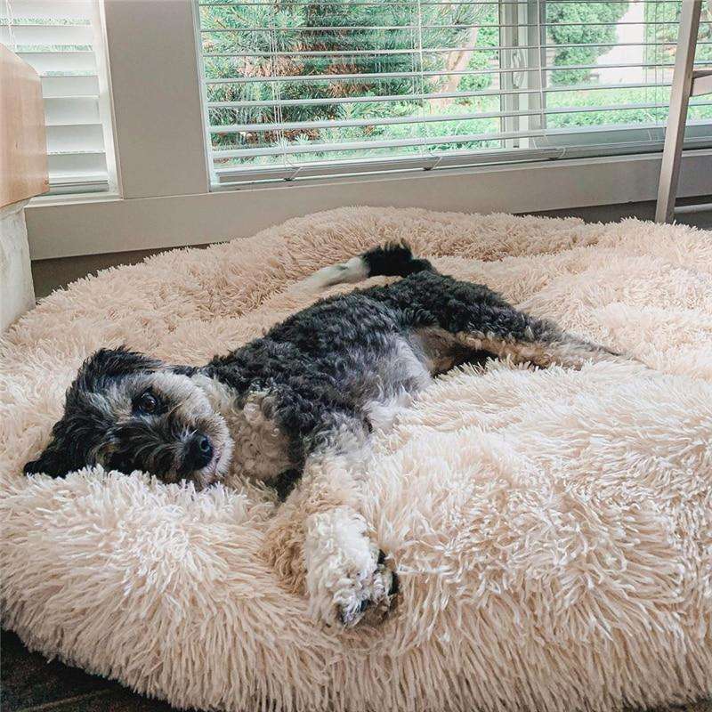 Fluffy Angstreducerende Donut Hundeseng til Alle Hunde