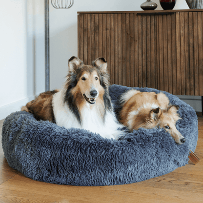 Fluffy Angstreducerende Donut Hundeseng til Alle Hunde