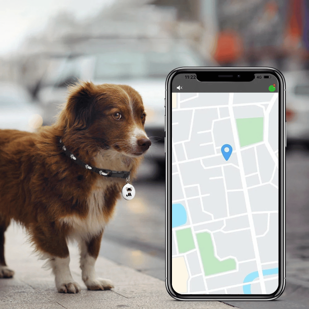 GPS Tracker til kæledyr med realtids tracking og lydalarm – Vandtæt design til hunde og katte
