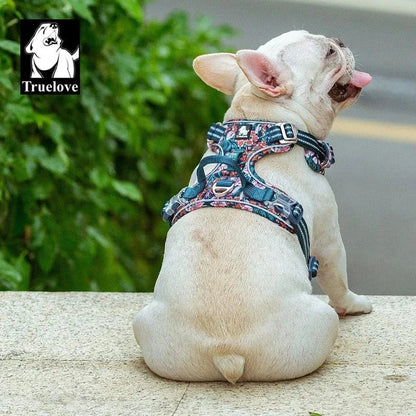 Hundesele - Komfort, Holdbarhed - XS-XL