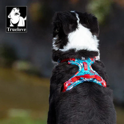 Hundesele - Komfort, Holdbarhed - XS-XL