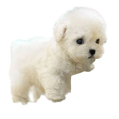Interaktiv Plush Hund – Realistisk Design med Bevægelser – Perfekt til at Lære Børn om Pleje