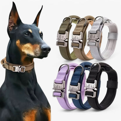 Justerbar Hundehalsbånd lavet af holdbart nylon, vandtæt, ergonomisk håndtag, til mellemstore og store hunde