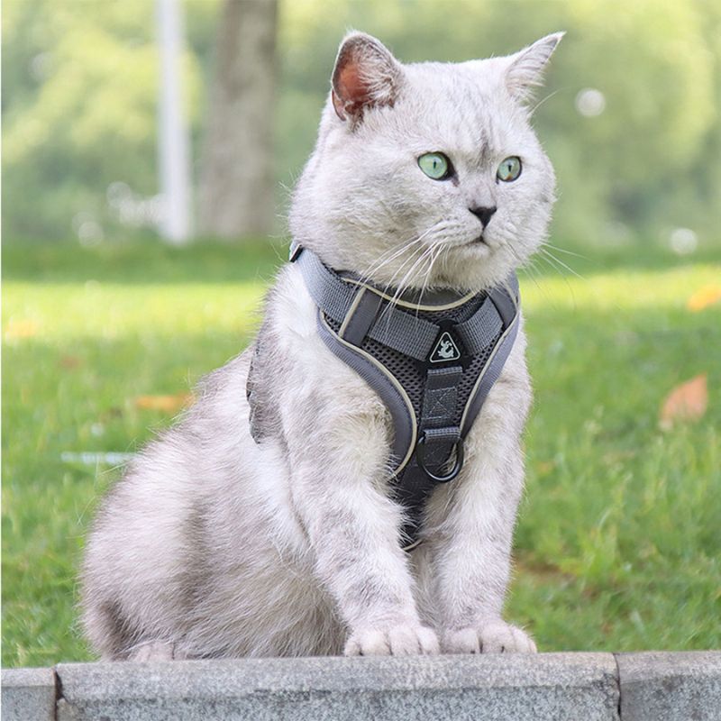 Kattesele Anti-Flugt - Sikkerhed & Frihed til Din Katt