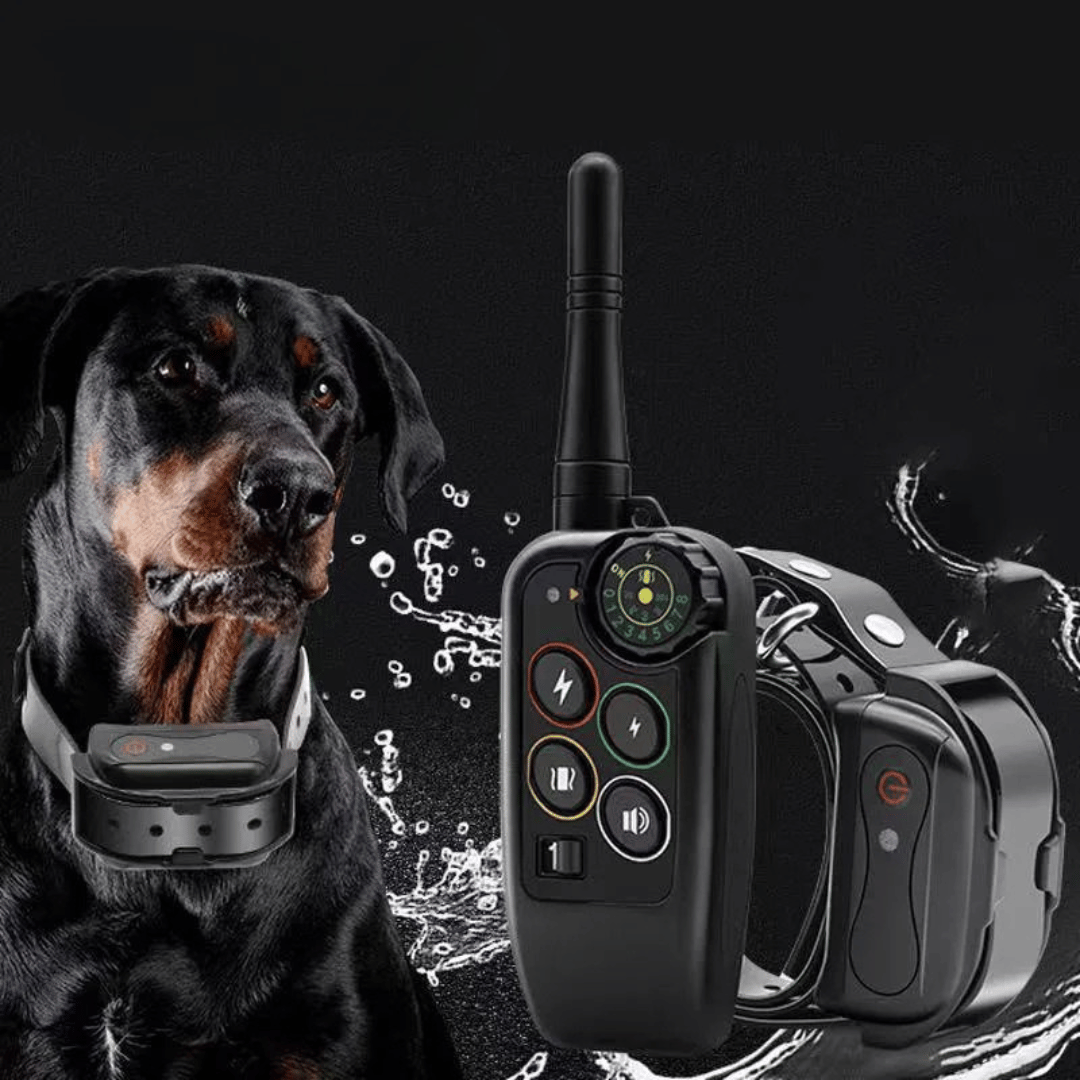 Lang rækkevidde 1000m vandtæt hundetrænings E-halsbånd & fjernbetjening