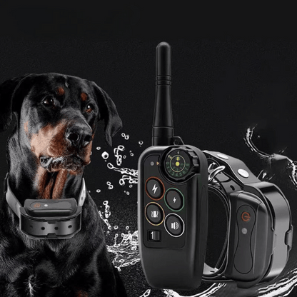 Lang rækkevidde 1000m vandtæt hundetrænings E-halsbånd & fjernbetjening