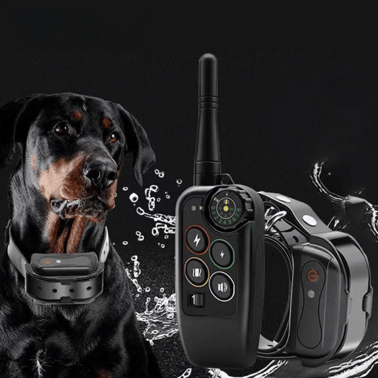 Lang rækkevidde 1000m vandtæt hundetrænings E-halsbånd & fjernbetjening