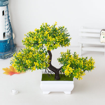 Marcelie | Plant Bonsai