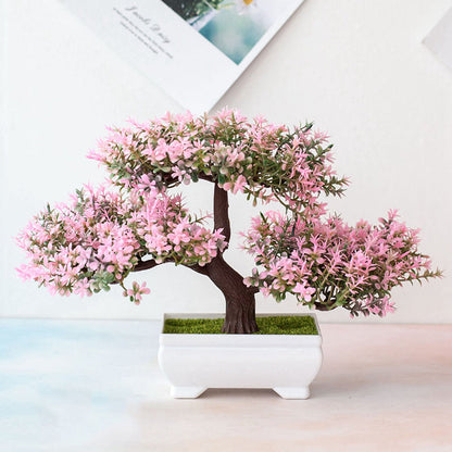 Marcelie | Plant Bonsai