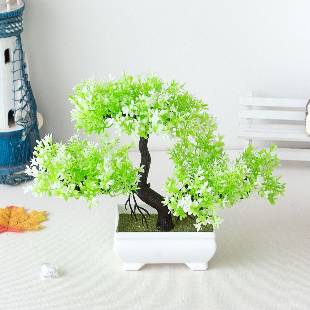 Marcelie | Plant Bonsai