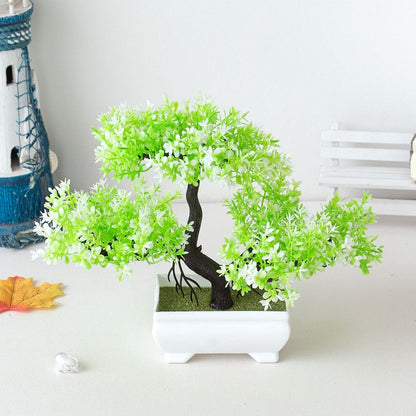 Marcelie | Plant Bonsai