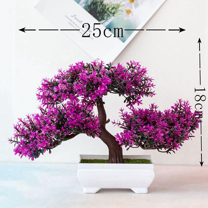 Marcelie | Plant Bonsai