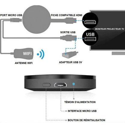 Multimedia TV Stick - Forvandl Dit Fjernsyn