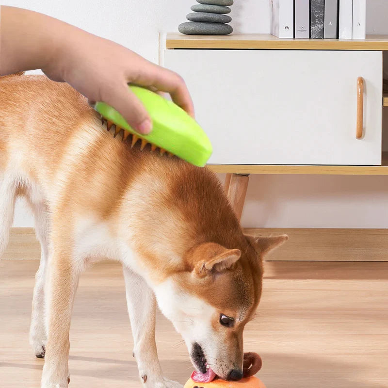 Nano Mist Pet Brush: Effektiv Hårfjerning og Massage
