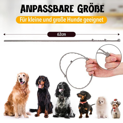Naturlig Beskyttelse mod Flåter og Lopper til Hunde