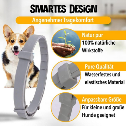 Naturlig Beskyttelse mod Flåter og Lopper til Hunde