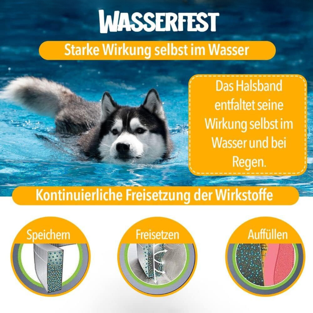 Naturlig Beskyttelse mod Flåter og Lopper til Hunde