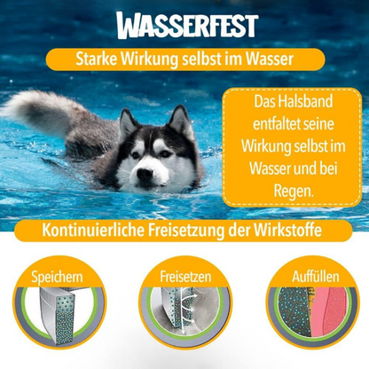 Naturlig Beskyttelse mod Flåter og Lopper til Hunde