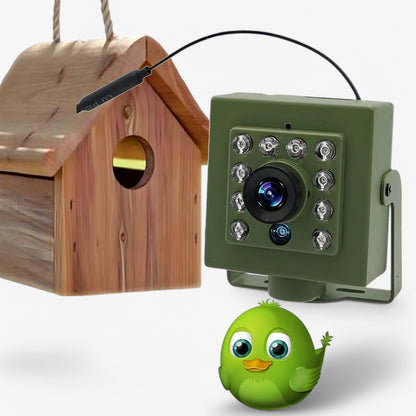 NestCam HD WiFi Fuglerede Kamera – 1080p Vandtæt Udendørs Dyreliv Kamera med Nattesyn