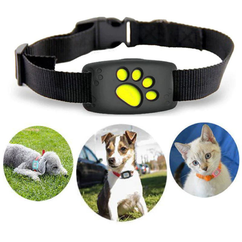Smart GPS Kattekrave | Realtids Tracking & Sikkerhed