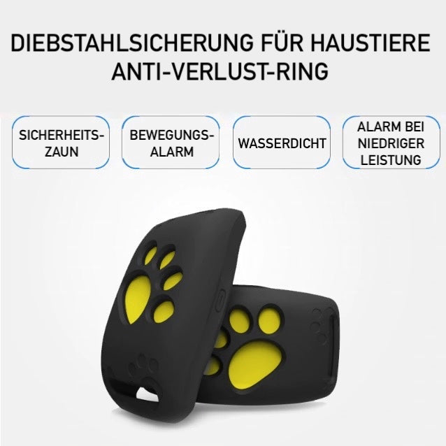 Smart GPS Kattekrave | Realtids Tracking & Sikkerhed