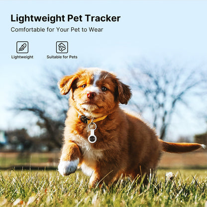 Smart Pet GPS Tracker