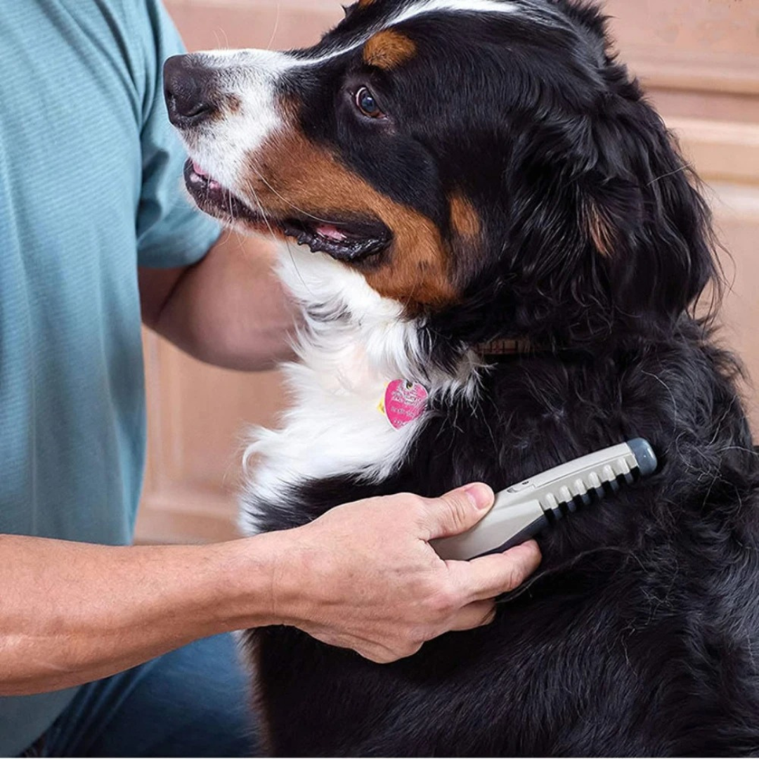 Tangle-Free Pet Grooming Brush – Skånsom & Effektiv Uldudretter til Katte & Hunde
